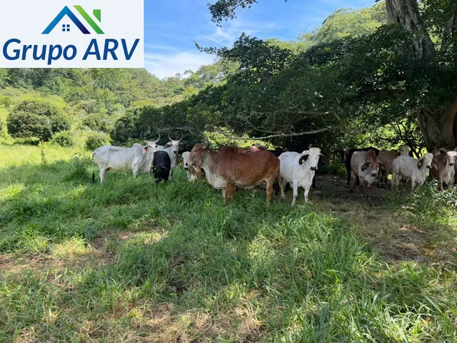 Imagem 8: FAZENDA RURAL em Teófilo Otoni - MG, Centro