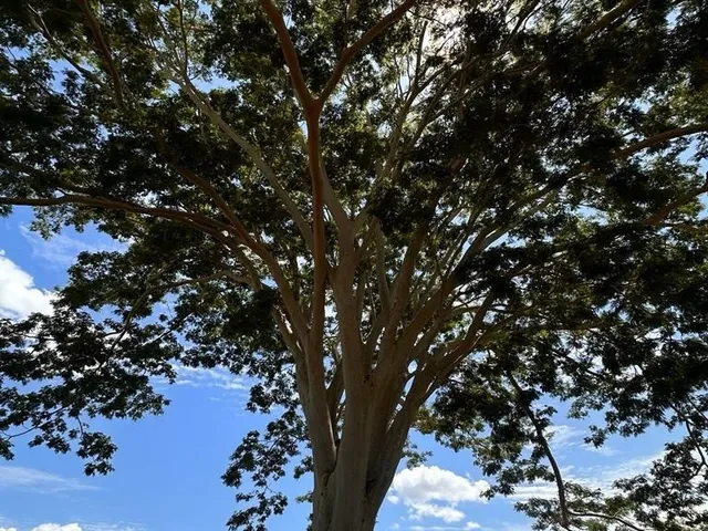 Imagem 3: FAZENDA RURAL em Itarumã - GO, Centro