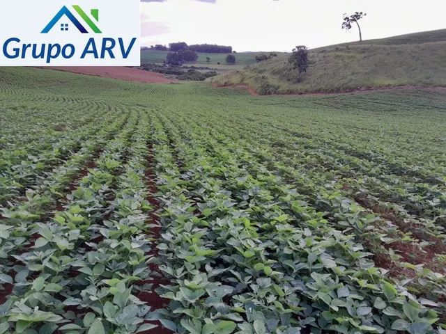 Imagem 6: Sítio com 36 alqueires em Careaçú MG
