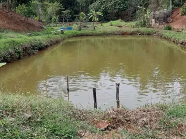 Imagem 1: SITIO RURAL em DOMINGOS MARTINS - ES, PEROBAS
