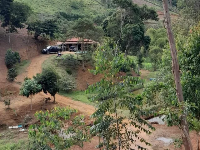 Imagem 3: SITIO RURAL em DOMINGOS MARTINS - ES, PEROBAS