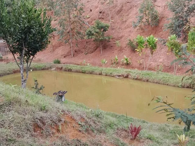 Imagem 4: SITIO RURAL em DOMINGOS MARTINS - ES, PEROBAS