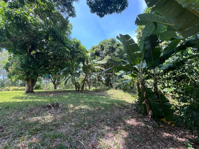 Imagem 8: SITIO RURAL em SERRA - ES, SERRA CENTRO