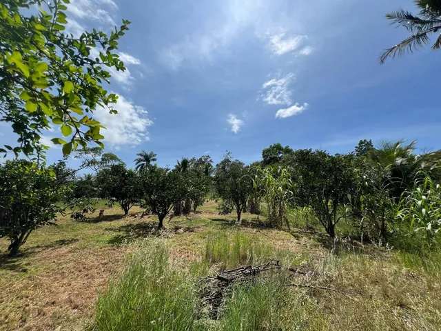 Imagem 12: SITIO RURAL em SERRA - ES, SERRA CENTRO
