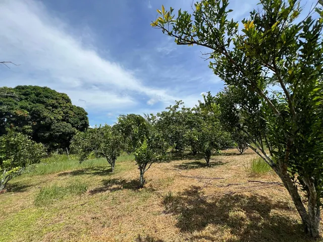 Imagem 13: SITIO RURAL em SERRA - ES, SERRA CENTRO