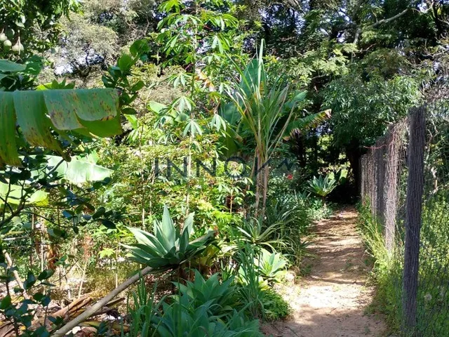Imagem 8: CHACARA RESIDENCIAL em CALDAS - MG, Laranjeira de Caldas
