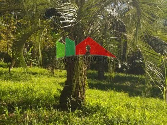 Imagem 1: REF.115 Terreno no bairro Ratones, Florianópolis, Santa Catarina