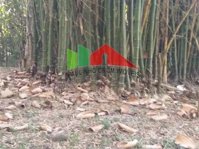 Imagem 9: REF.115 Terreno no bairro Ratones, Florianópolis, Santa Catarina