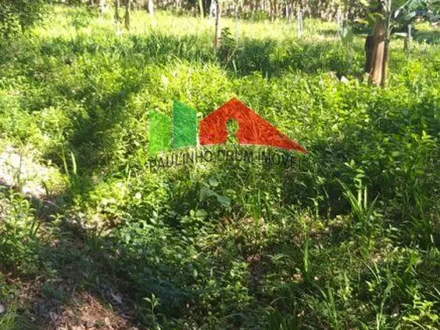 Imagem 12: REF.115 Terreno no bairro Ratones, Florianópolis, Santa Catarina