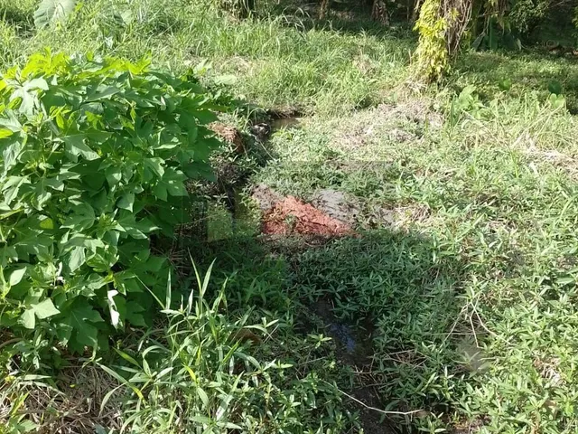 Imagem 2: REF. 294 Á venda terreno no bairro Ratones, Florianópolis/SC