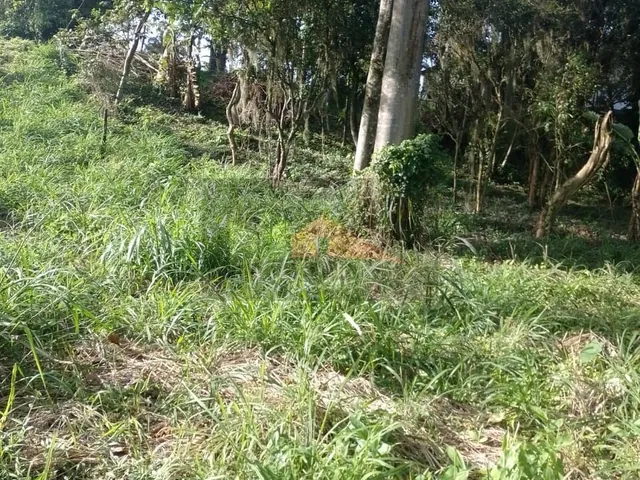 Imagem 10: REF. 294 Á venda terreno no bairro Ratones, Florianópolis/SC