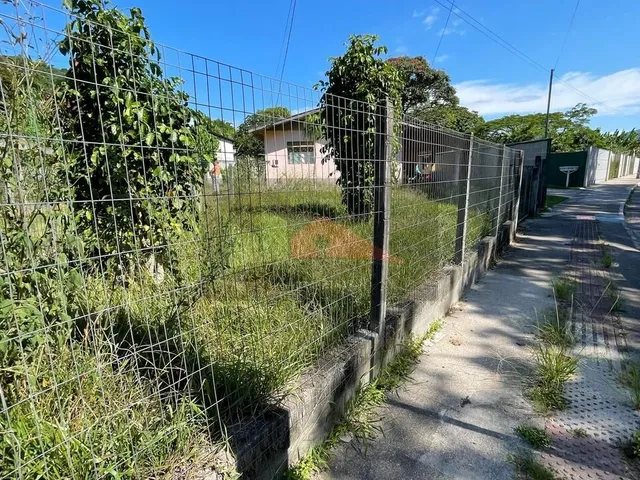 Imagem 3: REF. 384 Casa de alvenaria à venda no Bairro Ratones