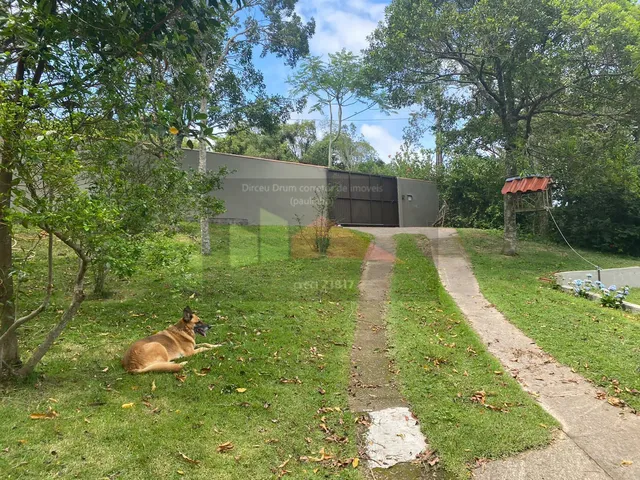 Imagem 10: REF. 298 Sítio com casa, amplo e sofisticado, com uma área de 5000m²