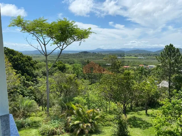 Imagem 2: REF. 298 Sítio com casa, amplo e sofisticado, com uma área de 5000m²
