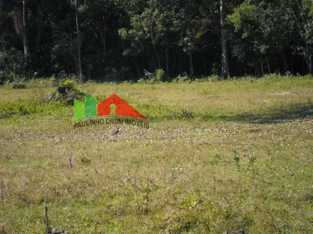 Imagem 3: REF. 163 Terreno amplo no bairro Ratones, Florianópolis/SC