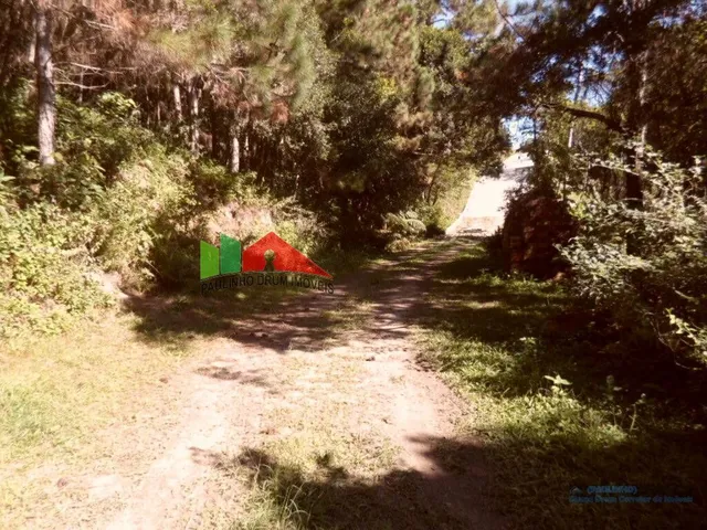 Imagem 3: REF. 29 Excelente terreno à venda no bairro da Vargem Pequena, Florianópolis, Santa