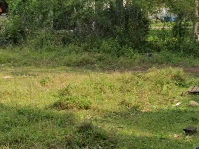Imagem 6: REF. 199 Lindo Terreno em Ratones, o espaço para a construção que você precisa