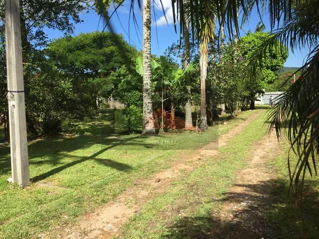 Imagem 13: REF. 276 Terreno de esquina, lindo, plano, excelente oportunidade no bairro Ratones