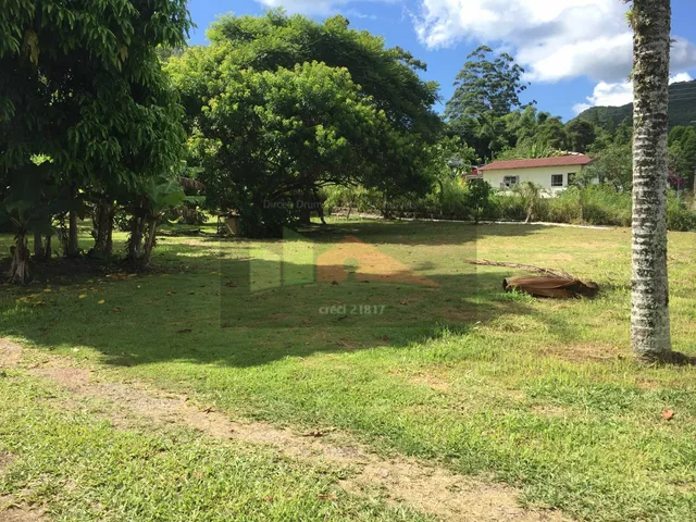 Imagem 11: REF. 276 Terreno de esquina, lindo, plano, excelente oportunidade no bairro Ratones