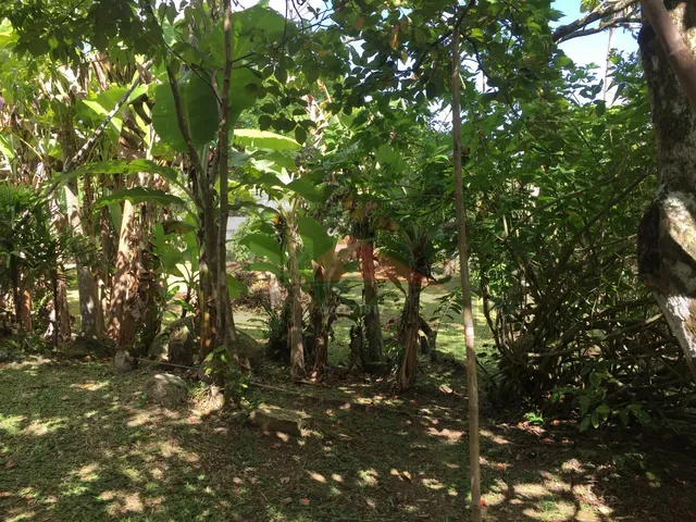 Imagem 5: REF. 276 Terreno de esquina, lindo, plano, excelente oportunidade no bairro Ratones