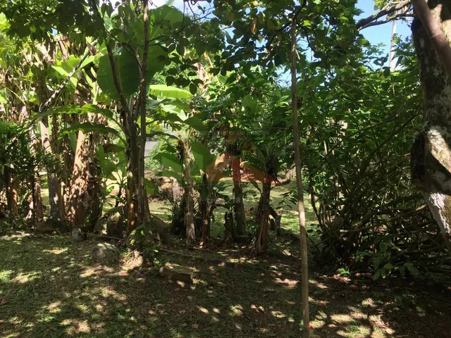 Imagem 9: REF. 276 Terreno de esquina, lindo, plano, excelente oportunidade no bairro Ratones