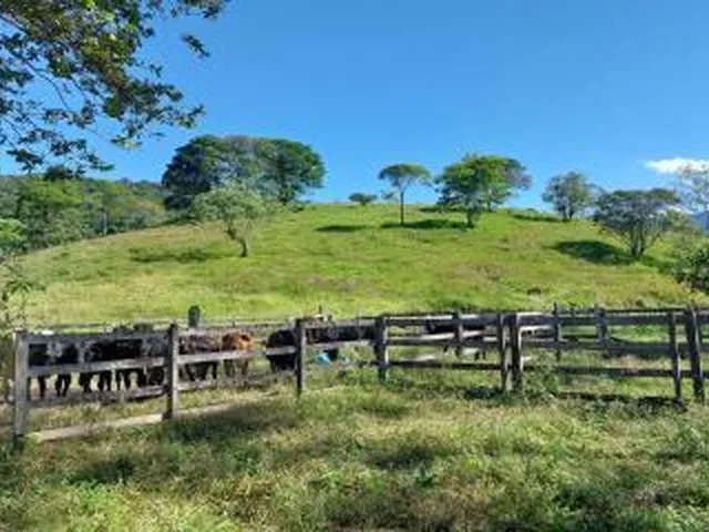 Imagem 7: Sítio para Venda em Cachoeiras de Macacu, Anil, 3 dormitórios, 2 suítes, 2 banheiros