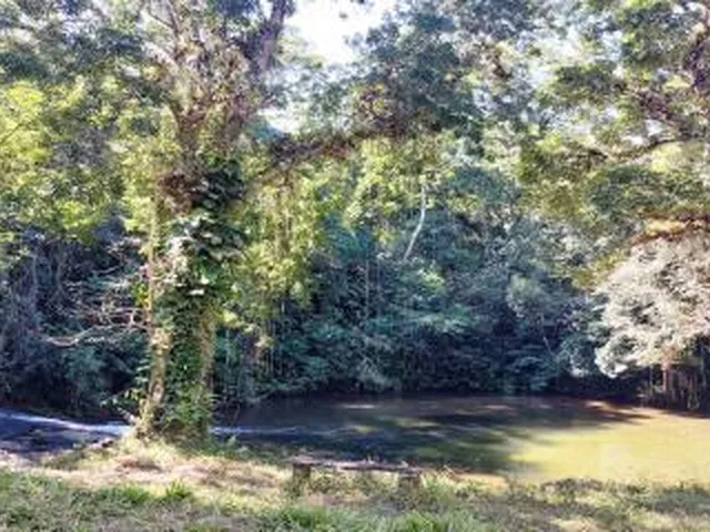 Imagem 10: Sítio para Venda em Cachoeiras de Macacu, Anil, 3 dormitórios, 2 suítes, 2 banheiros