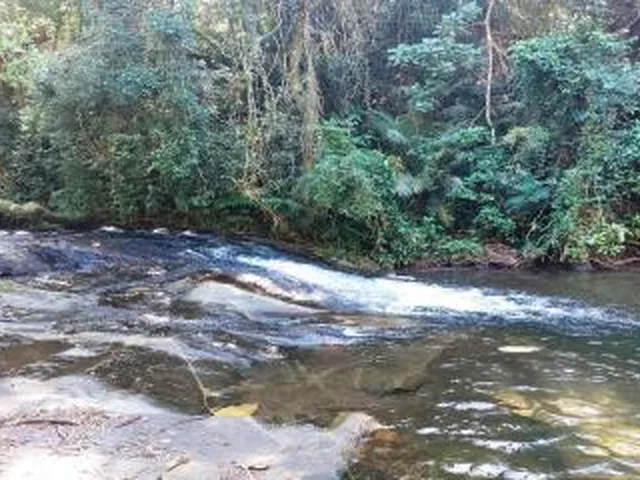 Imagem 13: Sítio para Venda em Cachoeiras de Macacu, Anil, 3 dormitórios, 2 suítes, 2 banheiros
