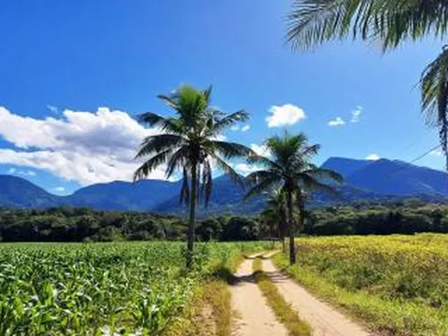 Imagem 16: Sítio para Venda em Cachoeiras de Macacu, Anil, 3 dormitórios, 2 suítes, 2 banheiros