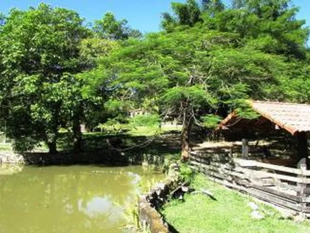 Imagem 16: Sítio para Venda em Cachoeiras de Macacu, Maraporã, 3 dormitórios, 2 suítes, 1