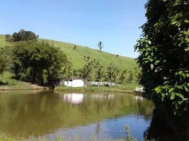 Imagem 13: Fazenda para Venda em Cachoeiras de Macacu, Maraporã, 5 dormitórios, 3 suítes, 2