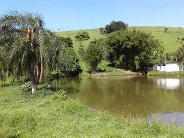 Imagem 16: Fazenda para Venda em Cachoeiras de Macacu, Maraporã, 5 dormitórios, 3 suítes, 2