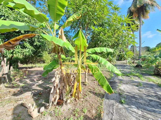 Imagem 6: TERRENO PLANO - 10.388M² - CATU DE ABRANTES