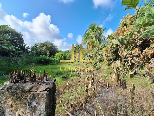Imagem 12: TERRENO PLANO - 10.388M² - CATU DE ABRANTES