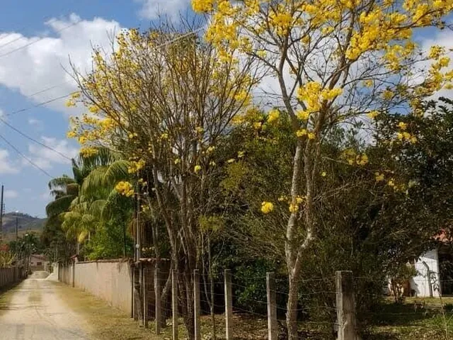 Imagem: Chácara à venda no bairro Zona Rural