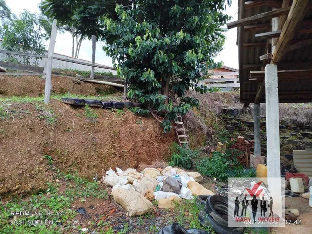Imagem 16: Chácara à venda no bairro Centro - Caldas/MG