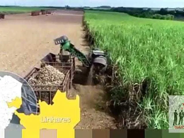 Imagem 10: Indústria à venda no bairro Centro - Linhares/ES