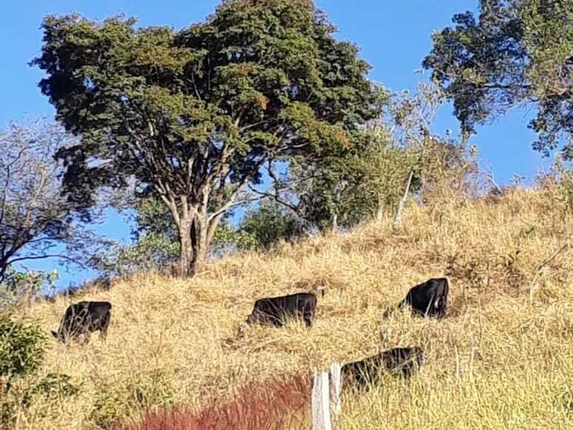 Imagem 2: Chácara à venda no bairro Centro - Caldas/MG