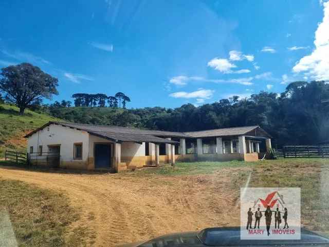Imagem 11: Fazenda à venda em Itajubá/MG
