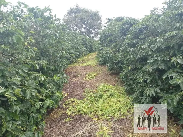 Imagem 2: Sítio à venda no bairro Centro - Campestre/MG
