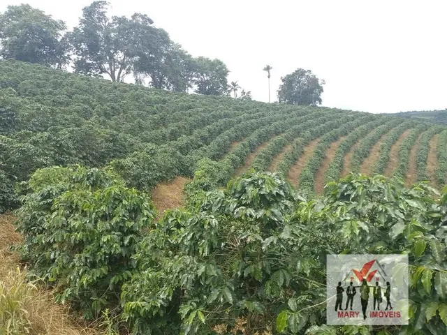 Imagem 5: Sítio à venda no bairro Centro - Campestre/MG