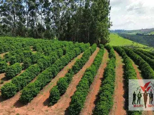 Imagem 8: Sítio à venda no bairro Centro - Botelhos/MG