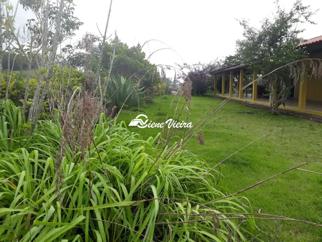 Imagem 14: SITIO RESIDENCIAL em PEDRA BELA - SP, PITANGUEIRAS