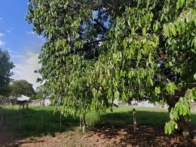 Imagem: Terreno com 3 Dormitorio(s) localizado(a)