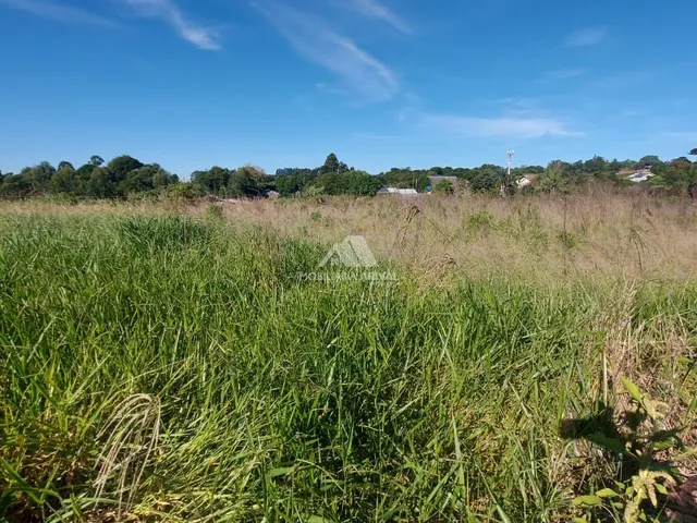 Imagem 5: ÁREA DE TERRA CHAPECÓ