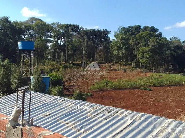 Imagem 4: ÁREA DE TERRA DISTRITO DE MARECHAL BORMANN