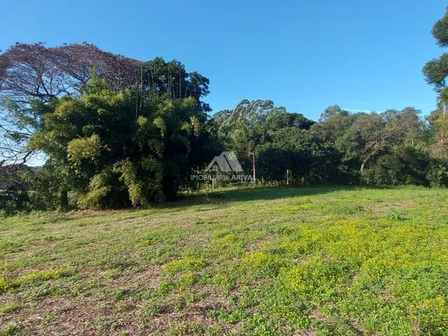 Imagem 4: ÁREA TERRA DISTRITO MARECHAL BORMANN