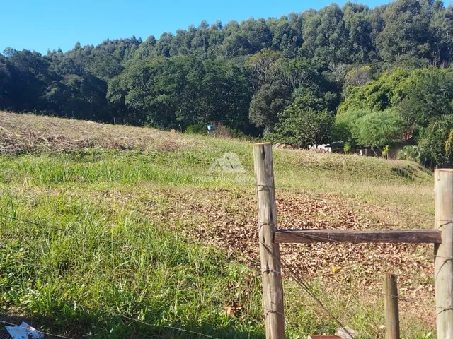 Imagem 5: ÁREA DE TERRA NO PERÍMETRO URBANO TREVO
