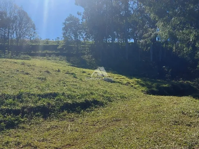 Imagem 11: ÁREA DE TERRA NO PERÍMETRO URBANO TREVO