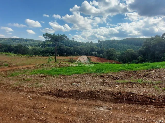 Imagem 3: ÁREA DE TERRA DIVISA COM PERÍMETRO URBANO